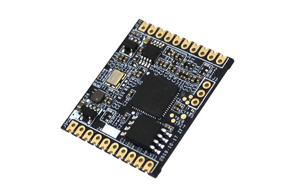 NRK220 Voice module
