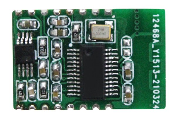 NRK3301 Voice chip module